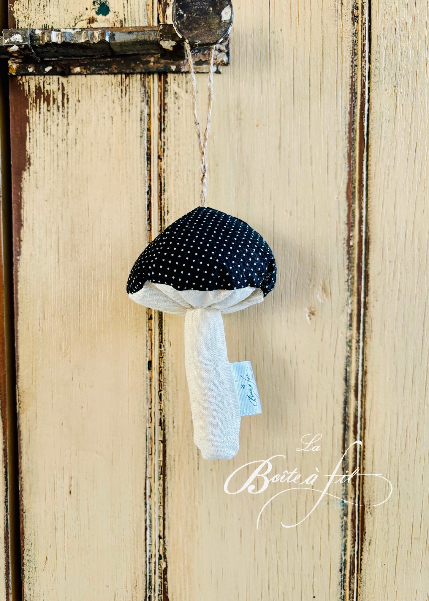 Champignon - pois noir